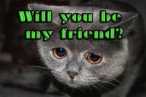 i-need-a-friend