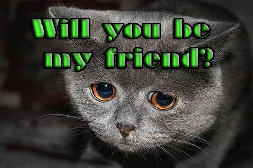 if you need friend